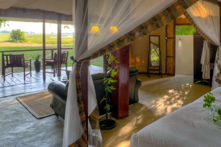 Room at Sausage Tree Camp